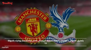 بتعليق الشوالي.. القنوات الناقلة لمباراة كريستال بالاس ومانشستر يونايتد بالجولة 13